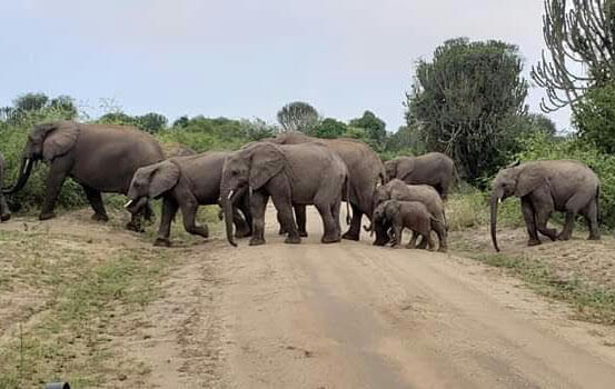 Uganda's Adventure Activities
