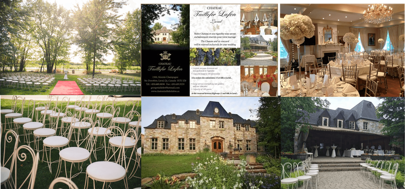 Château Taillefer Lafon-Vignoble