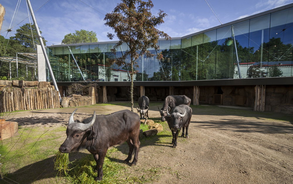 Zoo Antwerpen