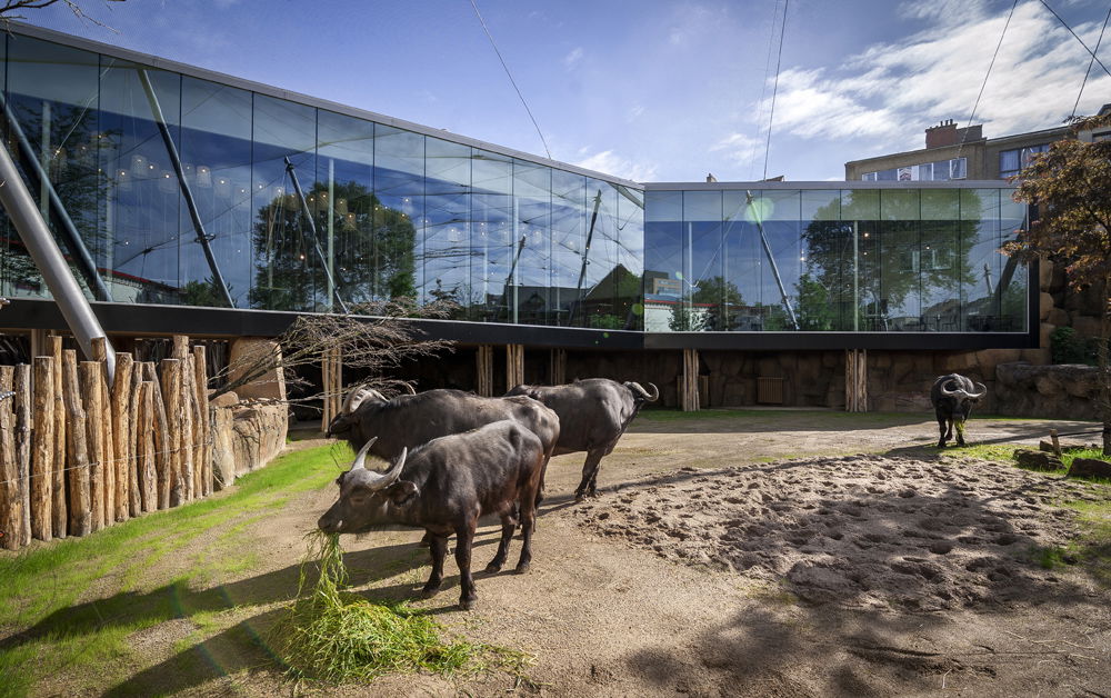 Zoo Antwerpen