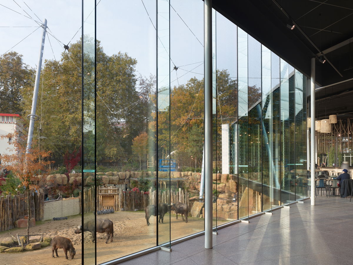 Zoo Antwerpen