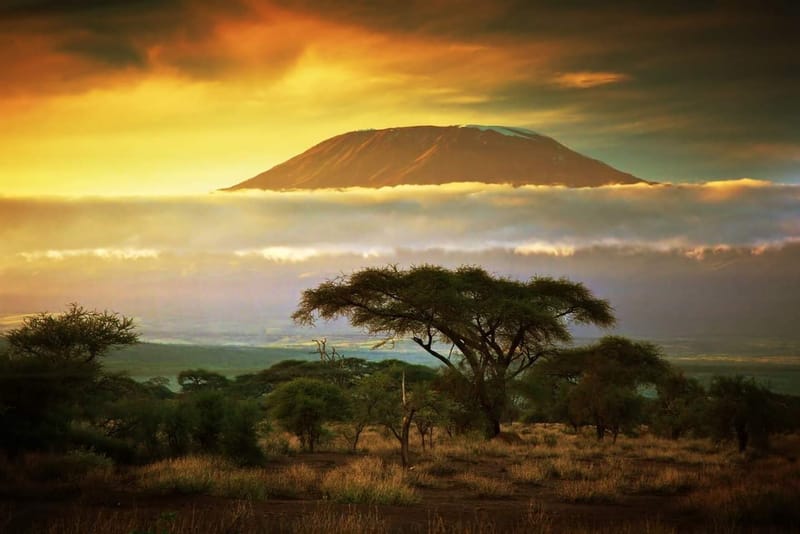 MOUNTAIN 🗻 KILIMANJARO