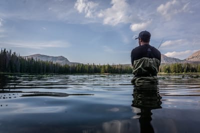 thefishingblog image