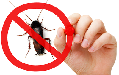 הדברה עצמית