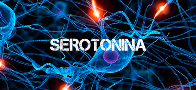 Depressão e serotonina