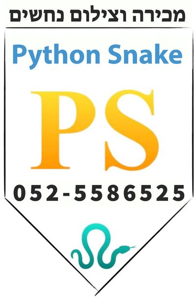 Python Snake
