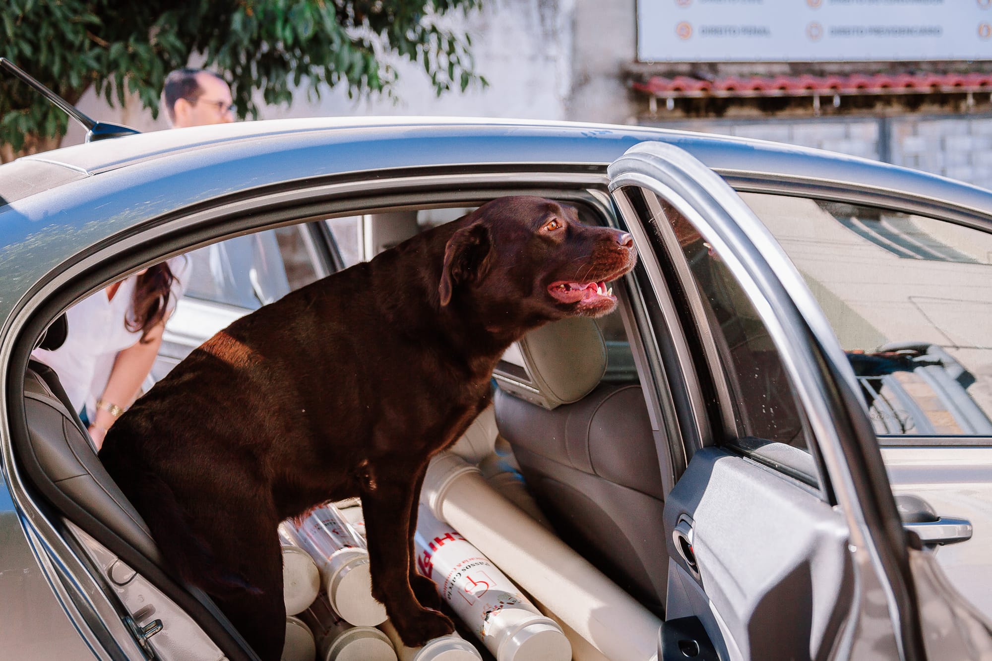 Somos uma empresa petfriendly (amiga de aminais)