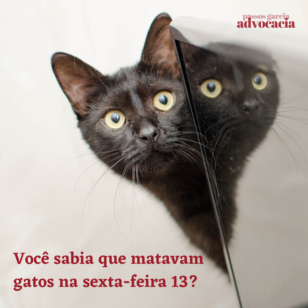 Você sabia que matavam gatos na sexta-feira 13?