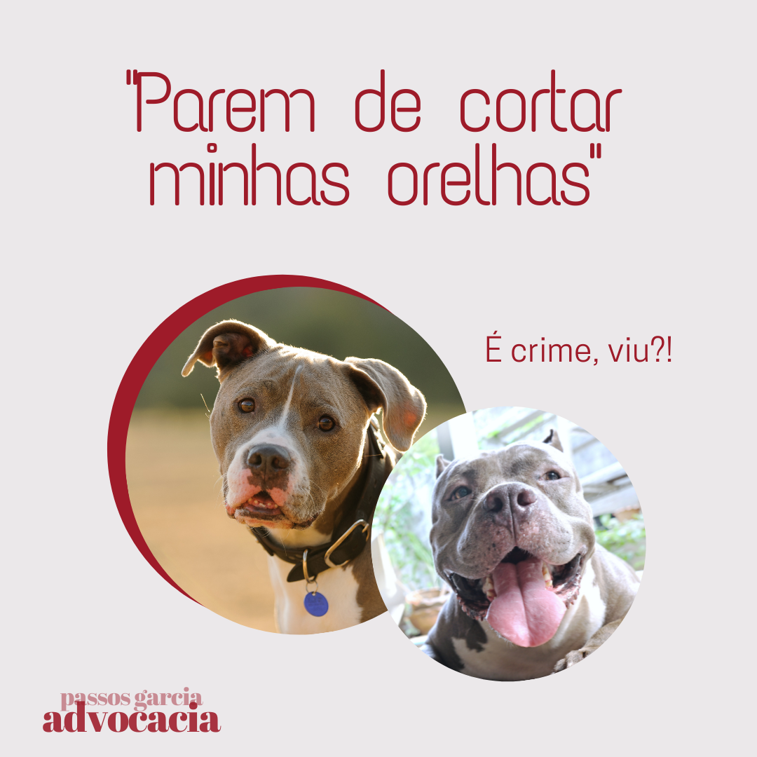 Cortar orelhas de cachorro é crime!