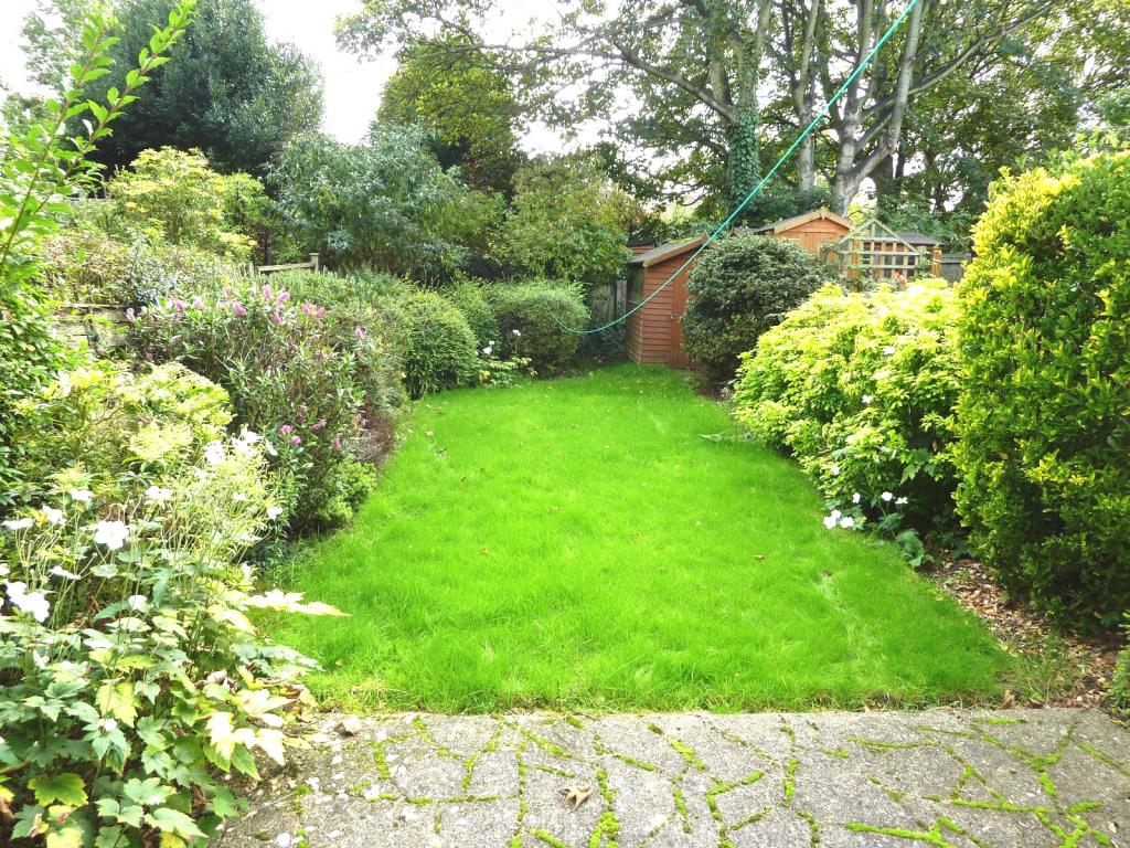 Garden before