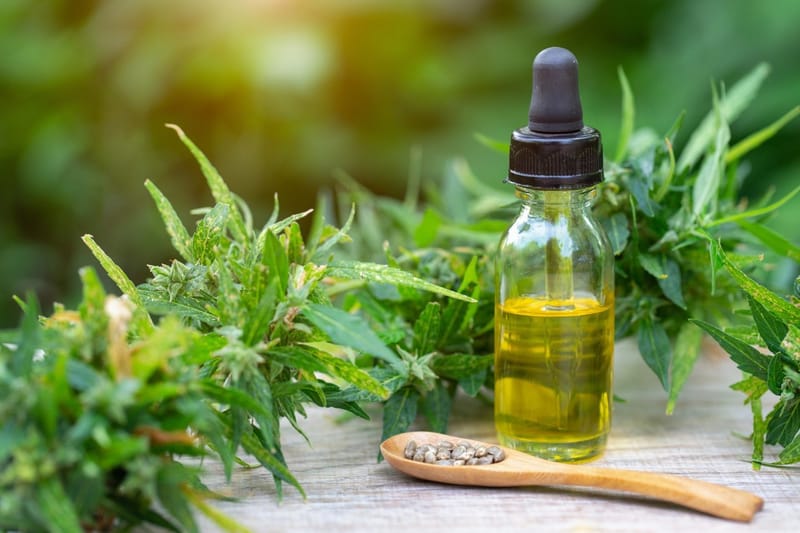 5 Factors That You Must Consider Before Purchasing CBD Oil