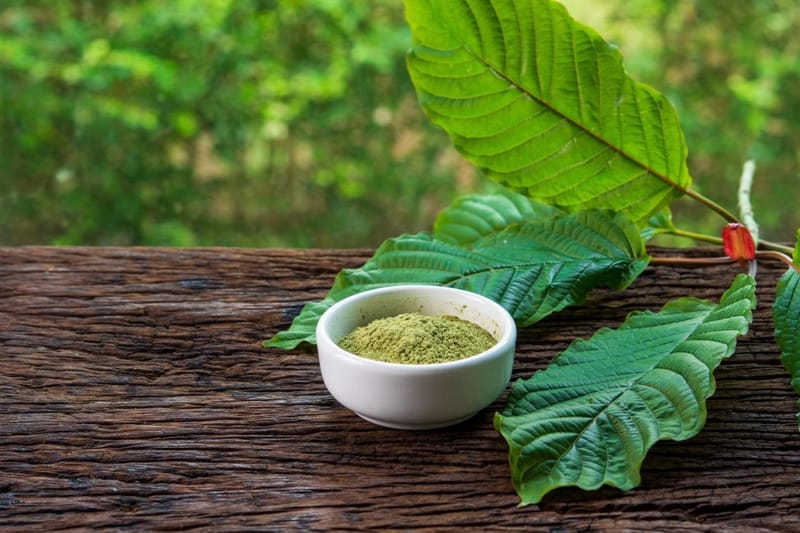 How to use Kratom — The best ways to take this herb!