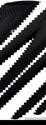 тренировочные штаны Erima club 1900