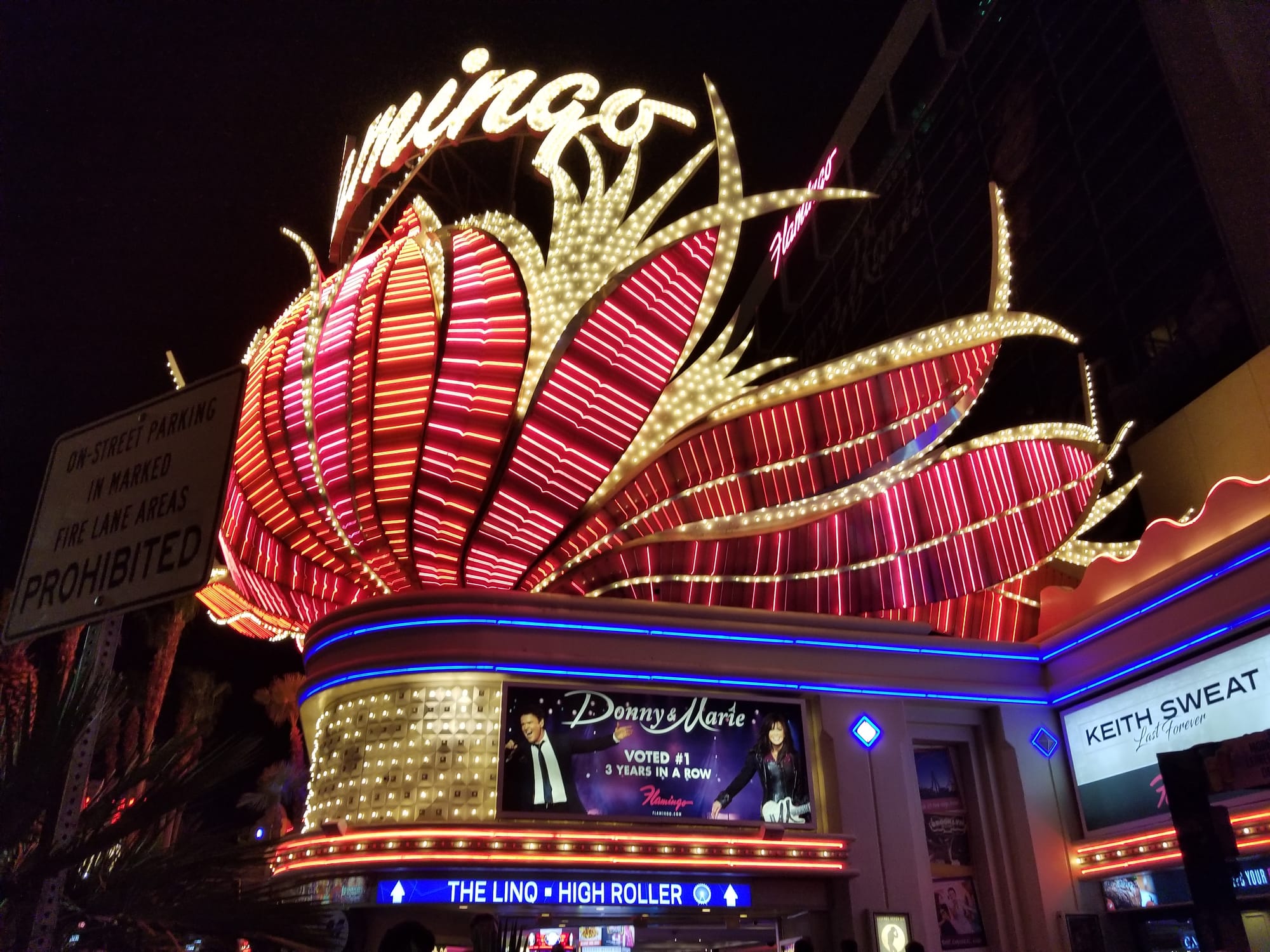 Pink Flamingo