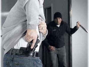 FDI Firearms and Self Defence Policy