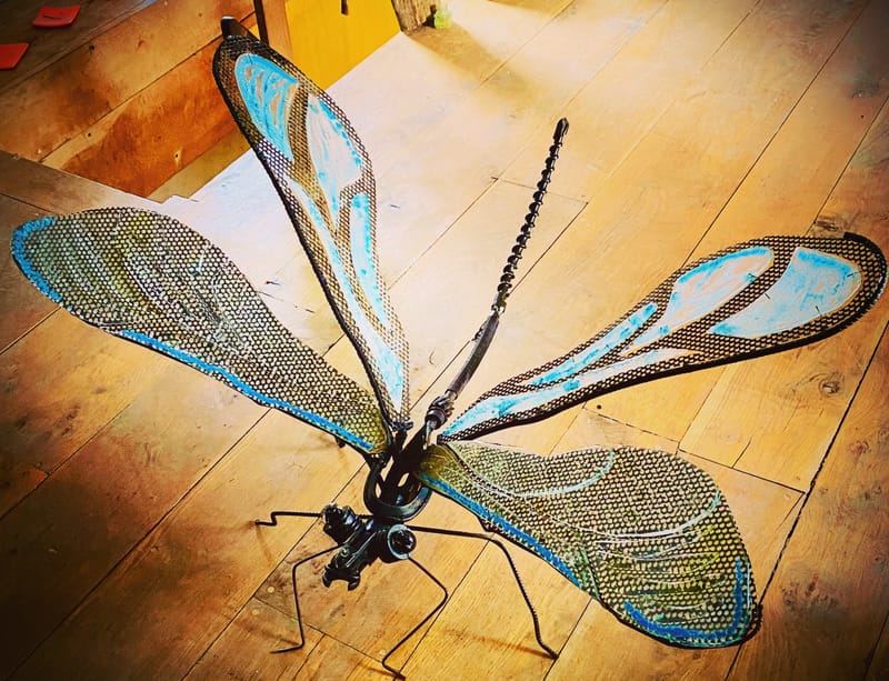 Une magnifique demoiselle a rejoint le Bestiaire