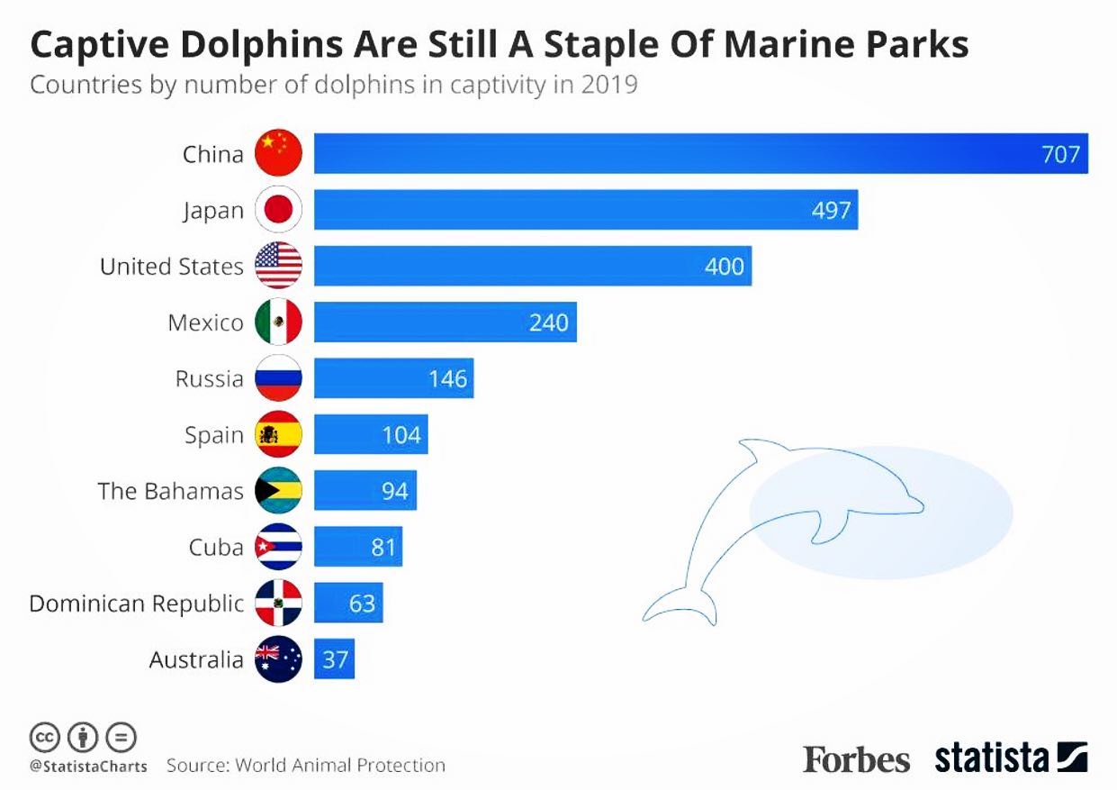 Dolphins In Captivity