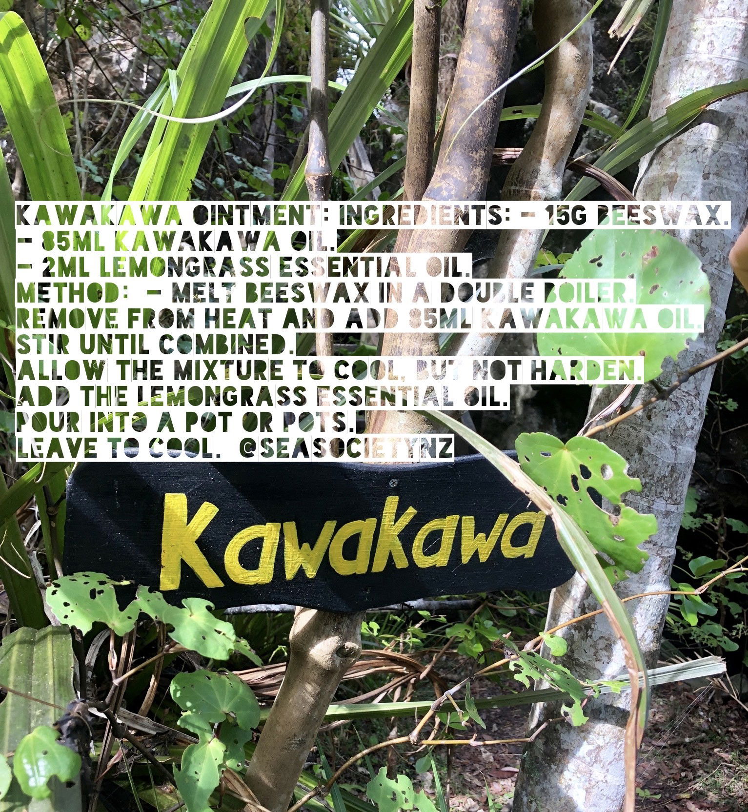 Spotlighting Kawakawa & Calendula