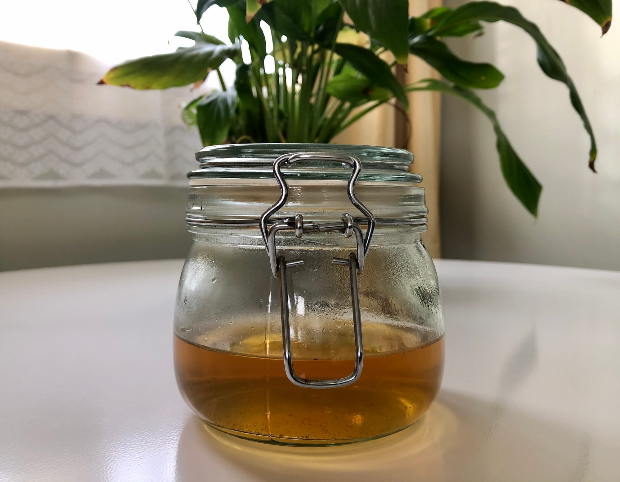 Vinegar Green Tea Toner