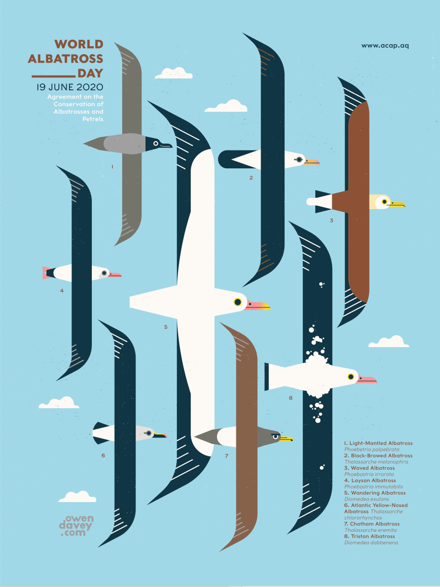 Happy First World Albatross Day