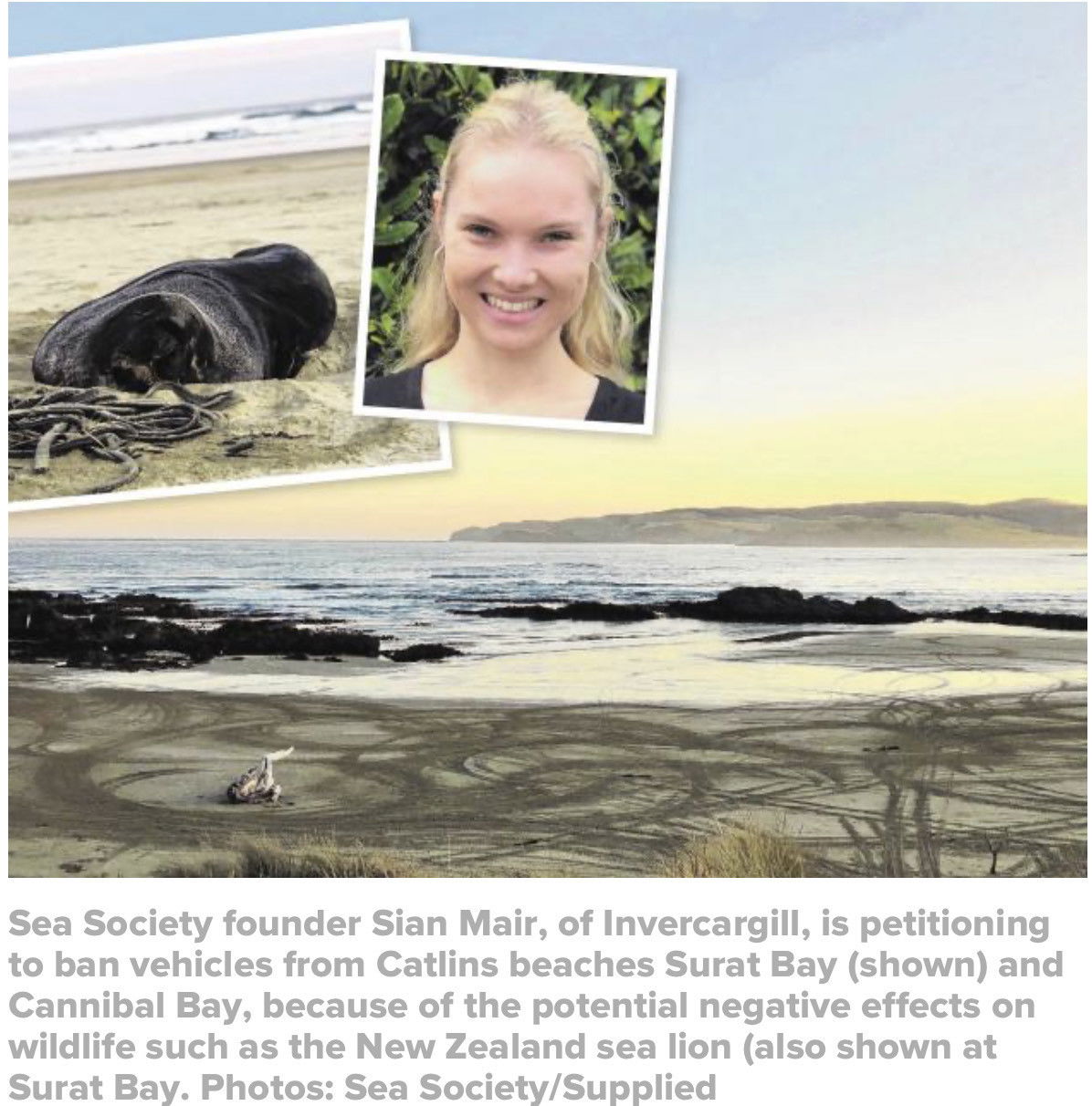 Otago Daily Times Article