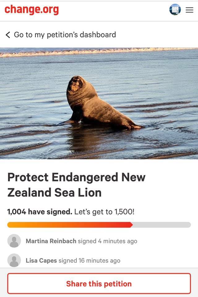 Protect Endangered New Zealand Sea Lion