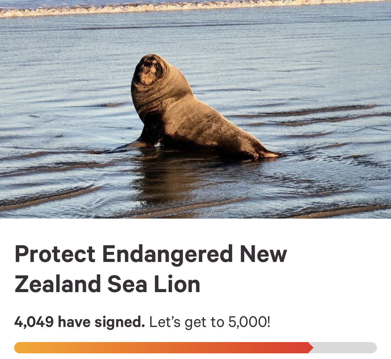 Progress On Petition