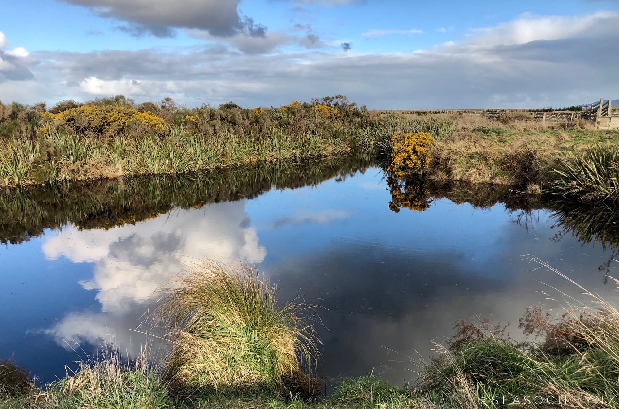 World Wetlands Day