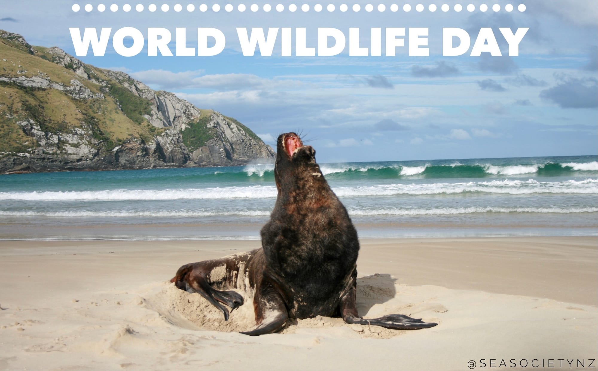 World Wildlife Day