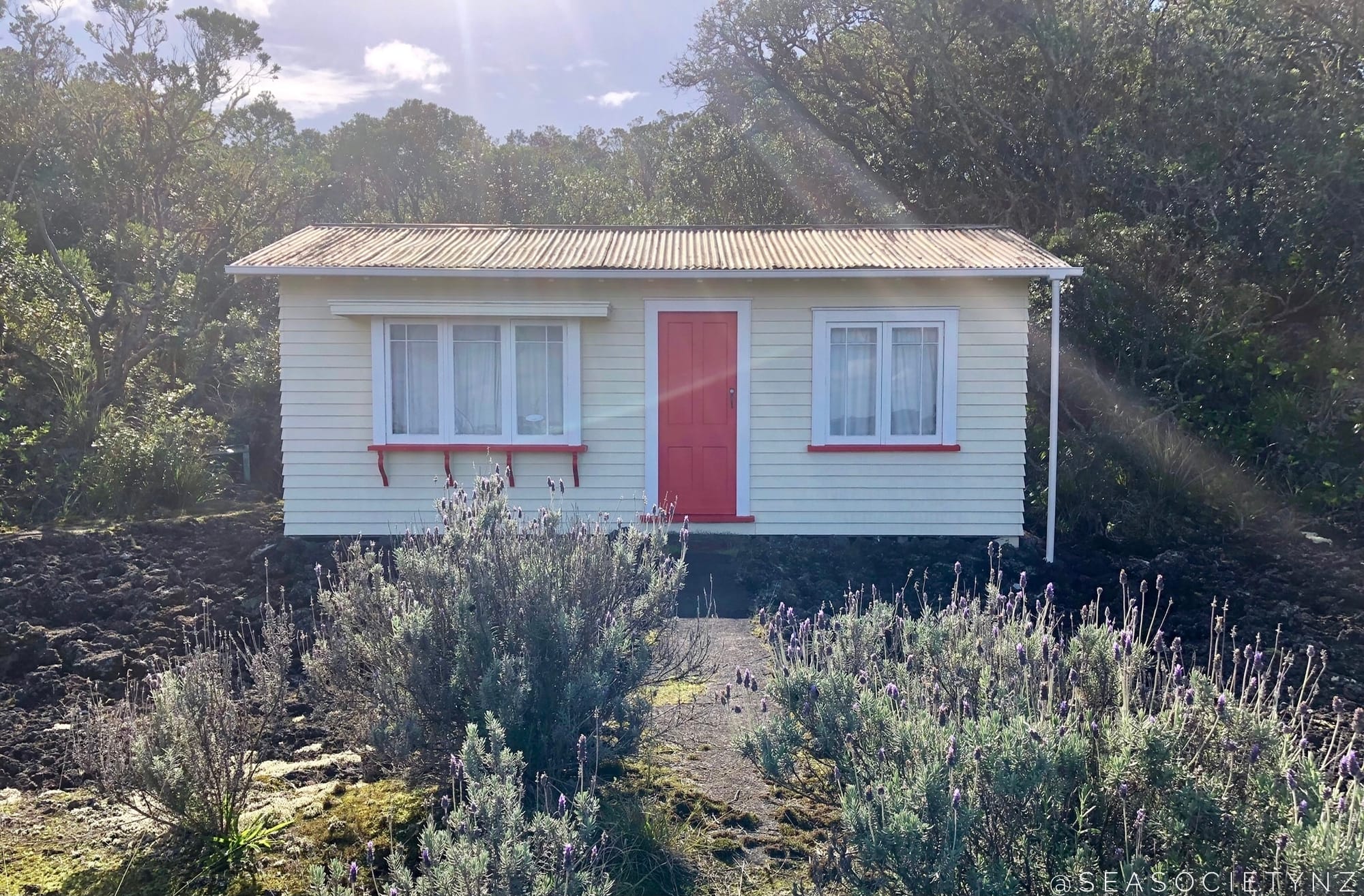 Rangitoto Island