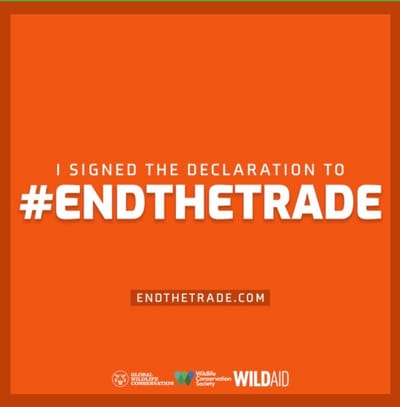 #EndTheTrade