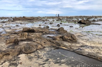 Rediscover The South Island