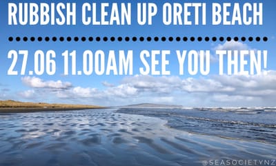Oreti Beach Rubbish Clean Up