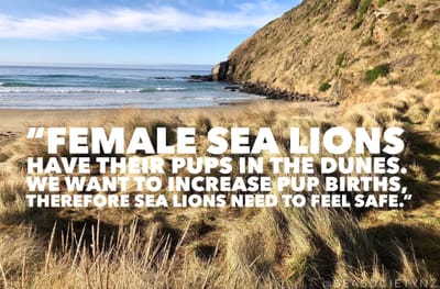 "Sea Lions Need To Feel Safe"