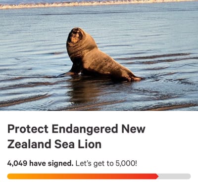 Progress On Petition