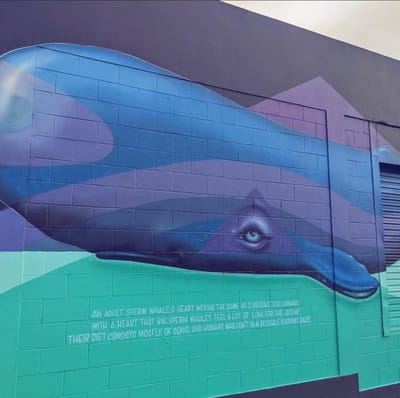 Sperm Whale Mural