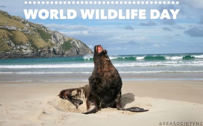 World Wildlife Day