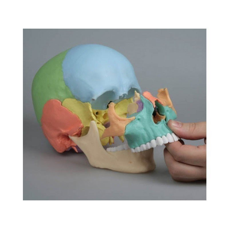 PMI  Pratique Manuelle Informative 1/3