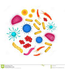 LES MICRO-ORGANISMES - EN PRESENTIEL & EN ZOOM