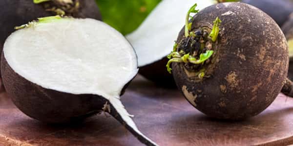 Benefits and Properties of Black Horseshoe