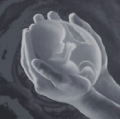 Fetal and Neonatal Physiological Society