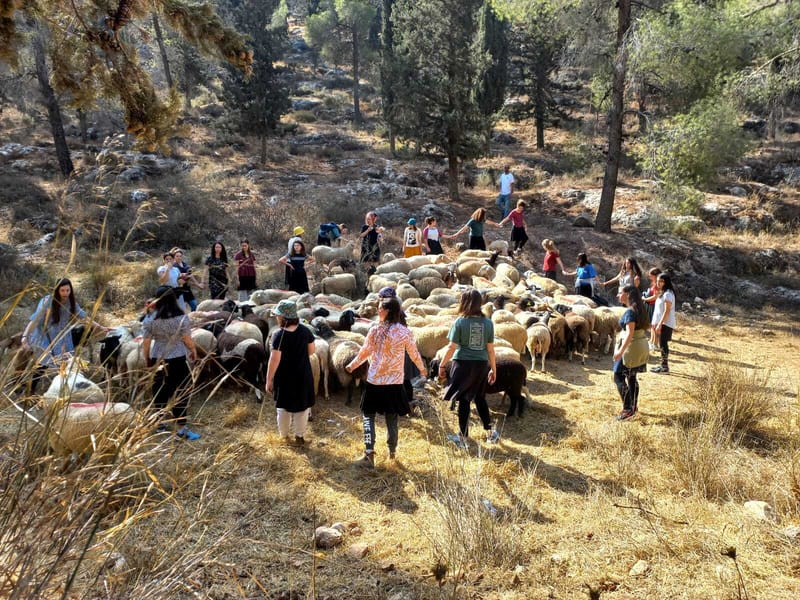 "Leadership and shepherding" workshop