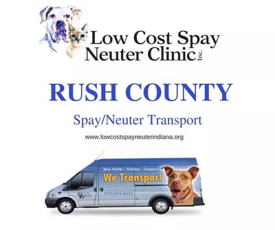 Spay/Neuter services image