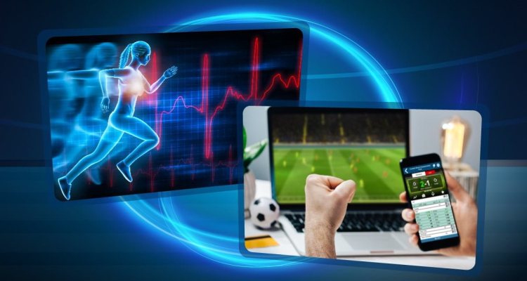 The World of Online Sports Betting: Convenience at Your Fingertips