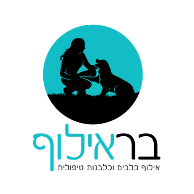 בר אילוף