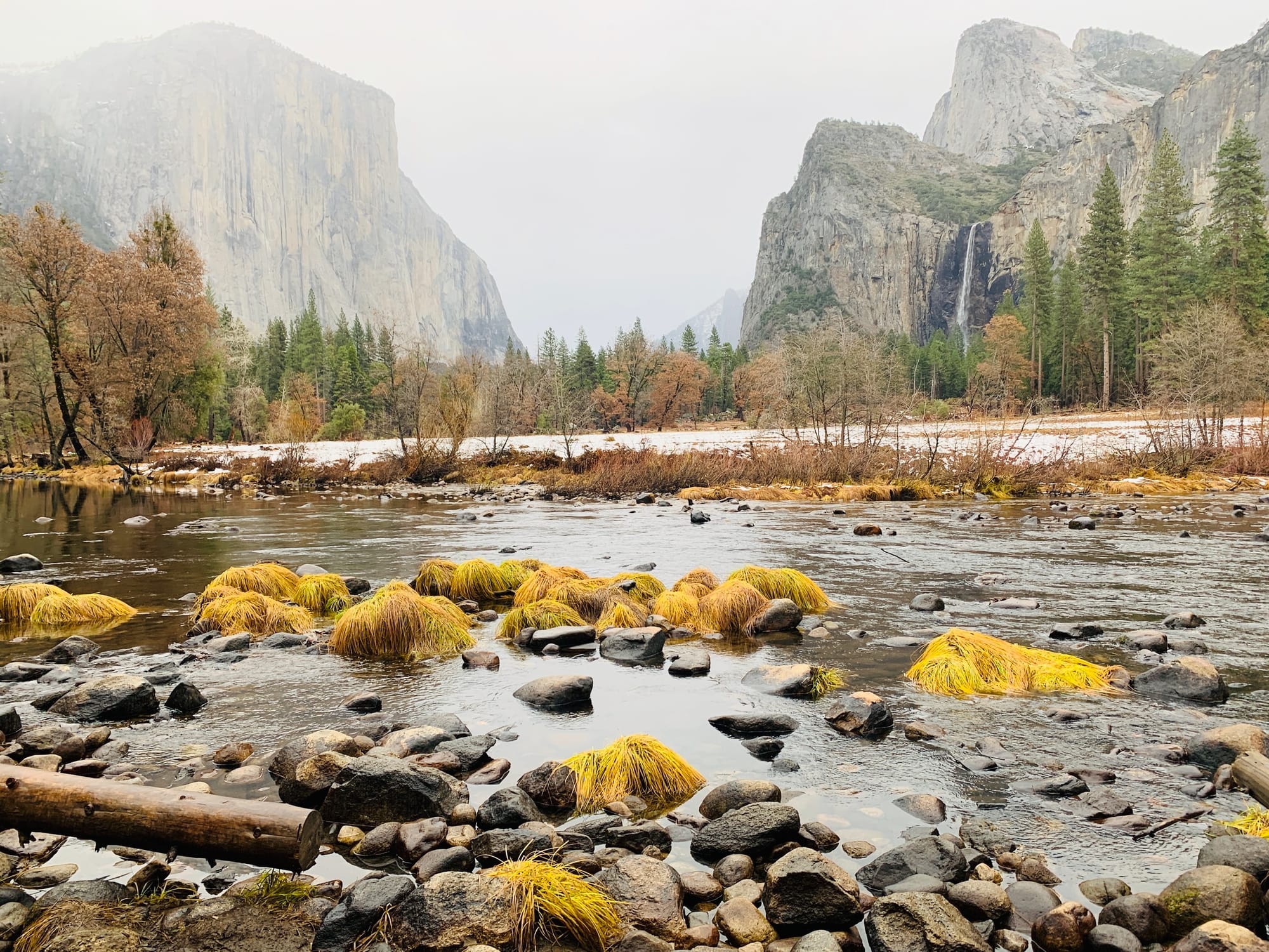 New California dreaming. Water restrictions and Covid mandates are the new normal.