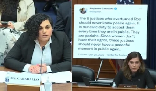 Showing their true colors. Rep. Nancy Mace skewers LGBT activist with own tweets in ‘threats to Democracy’ hearing