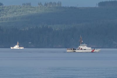 Coast Guard Calls Off Search for Nine Missing After Seaplane Crash Near Seattle.  Let's hope it's not our lurker.