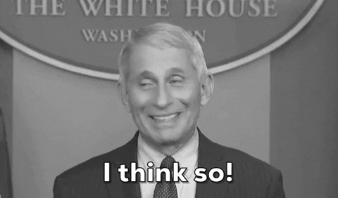 Megyn Kelly kicks the fauch's little Elf Ass.