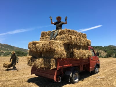L&#039;azienda agricola  image